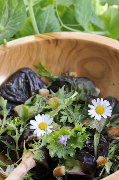 Rezept mit Bild für Pflücksalat mit Senf-Vinaigrette - foolforfood.de